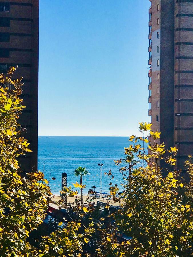 Cometa Center Benidorm Bagian luar foto